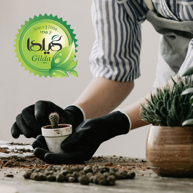 خاک کاکتوس و ساکولنت گیلدا مدل GC12L حجم 12 لیتر