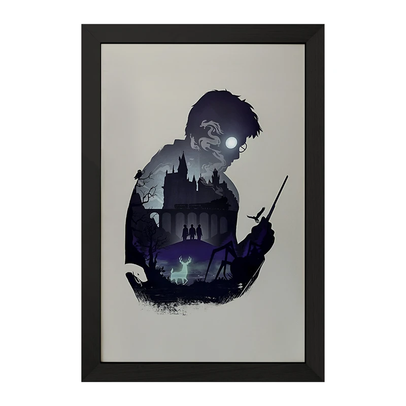 تابلو خندالو مدل هری پاتر (Harry Potter) کد F4446