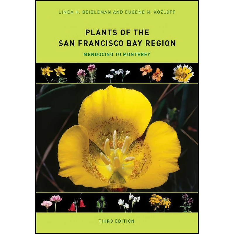 کتاب Plants of the San Francisco Bay Region اثر جمعي از نويسندگان انتشارات University of California Press