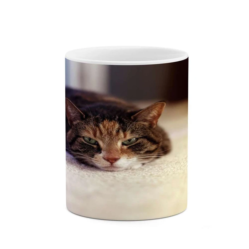 ماگ کاکتی مدل گربه کد mgh16260