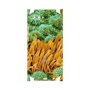 MAHOOT Atom Universe 6-FullSkin Cover Sticker for Honor 10