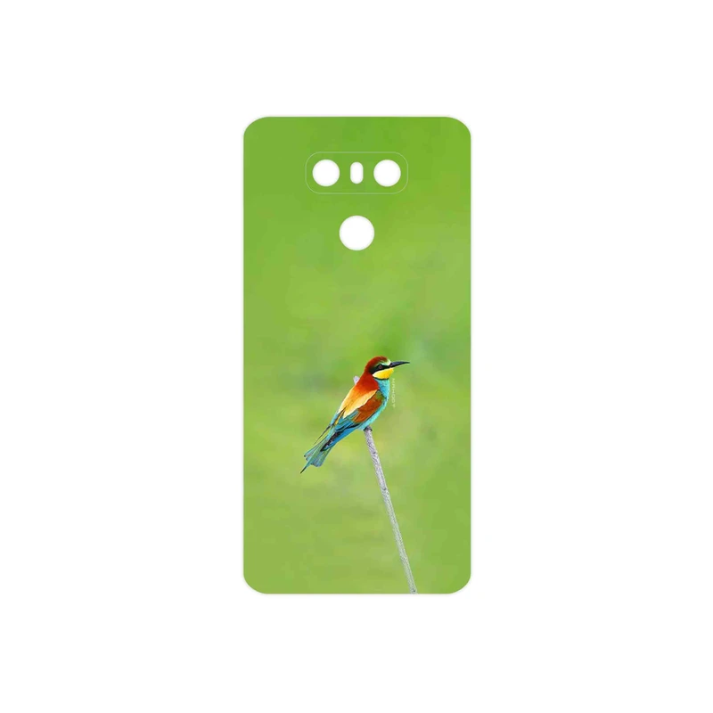 برچسب پوششی ماهوت مدل European bee-eater مناسب برای گوشی موبایل ال جی G6
