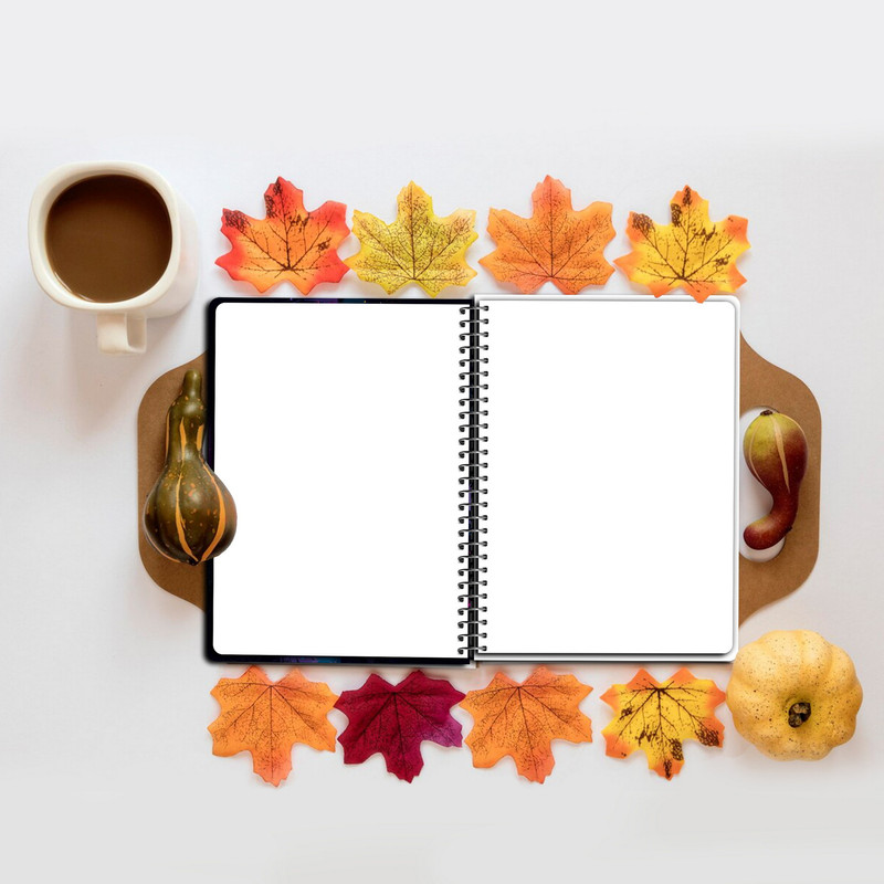 دفتر نقاشی مستر راد مدل فضانورد کد fiory 2292