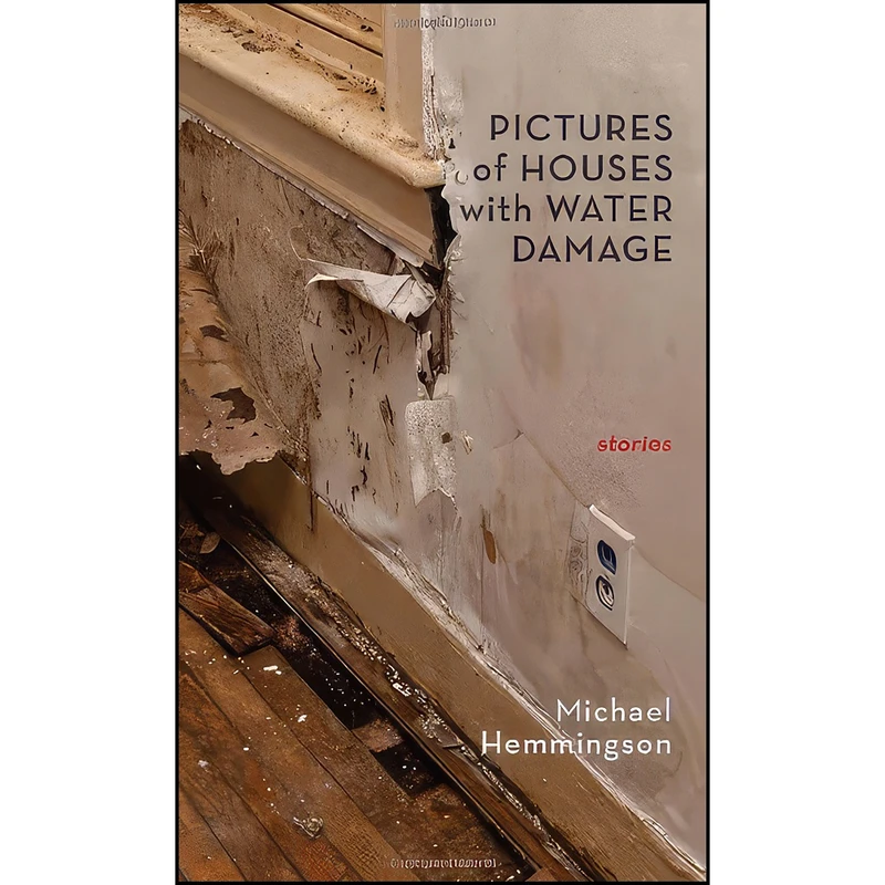 کتاب Pictures of Houses with Water Damage اثر Michael Hemmingson انتشارات Black Lawrence Press
