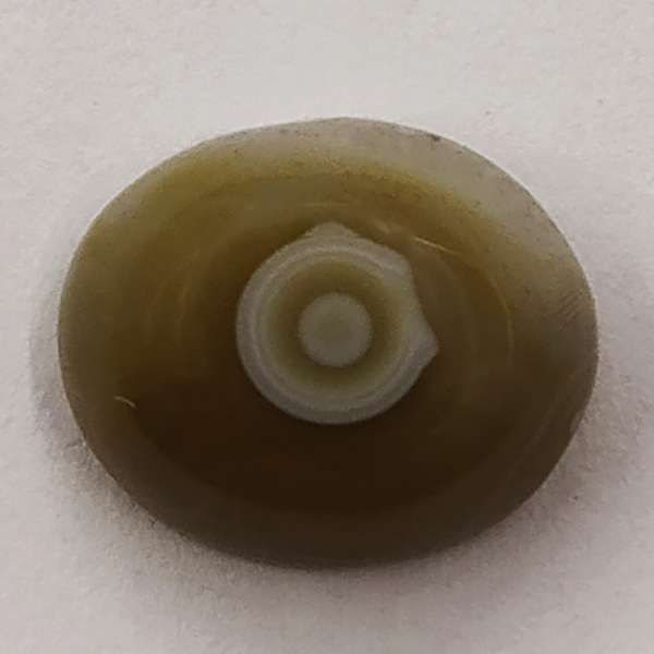 سنگ باباقوری سلین کالا مدل ce-164