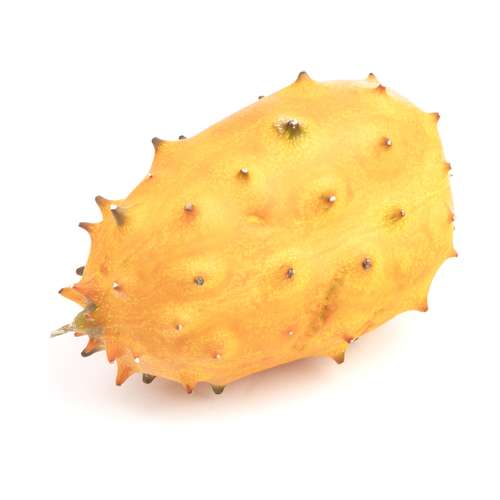 خربزه آفریقایی گل باز 1 عدد