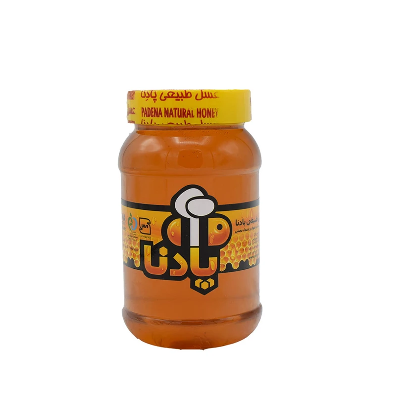 عسل آویشن پادنا - 1000 گرم