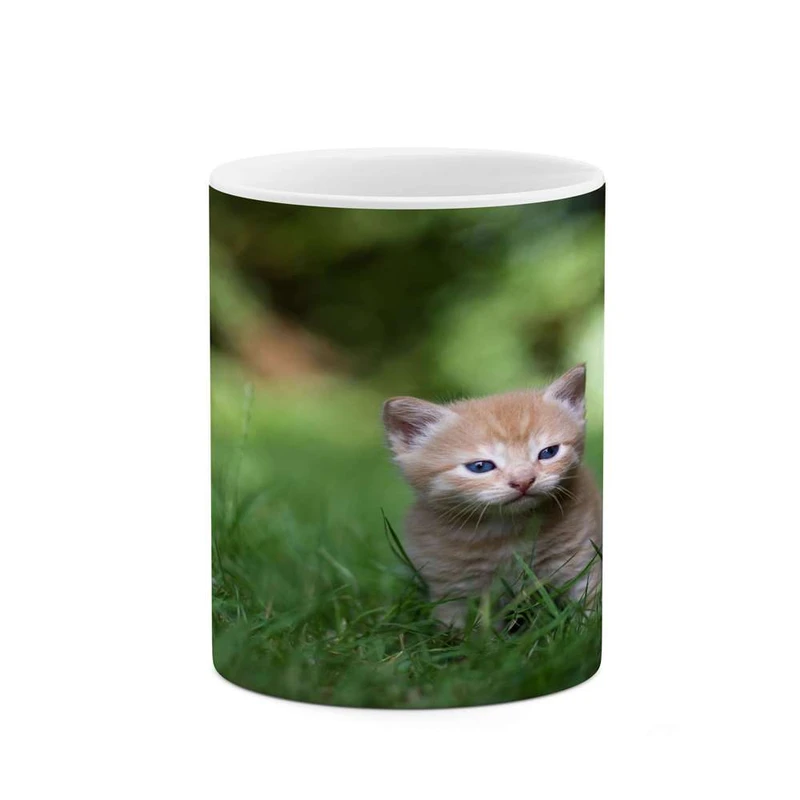 ماگ کاکتی مدل گربه کد mgh15571