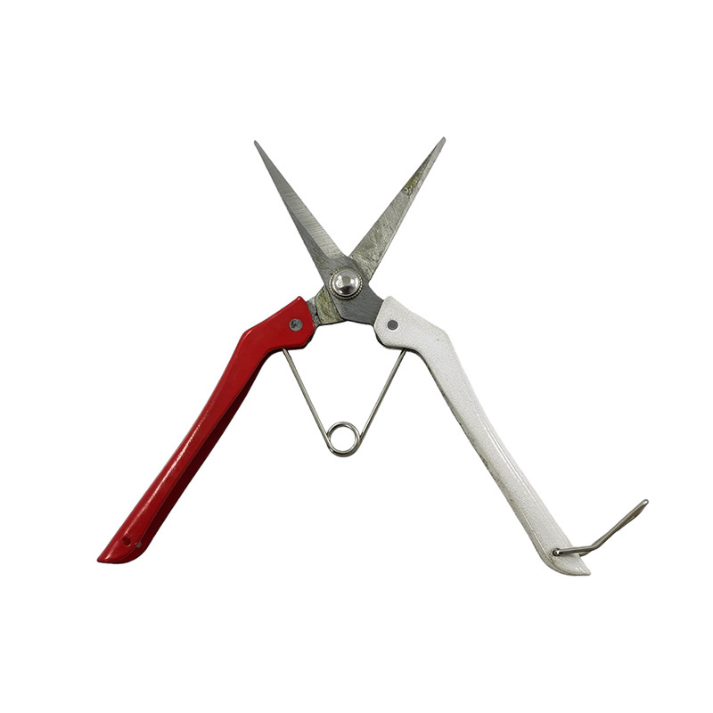 قیچی میوه چینی ای ار جی مدل 205