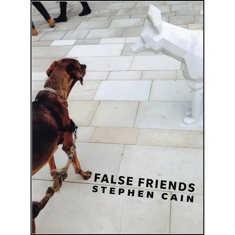 کتاب False Friends اثر Stephen Leather انتشارات Bookxhug Press