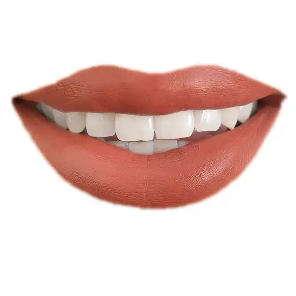 رژ لب جامد فان فیس شماره V 205