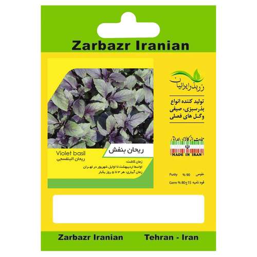 بذر ریحان بنفش زربذر ایرانیان کد ZBP-08