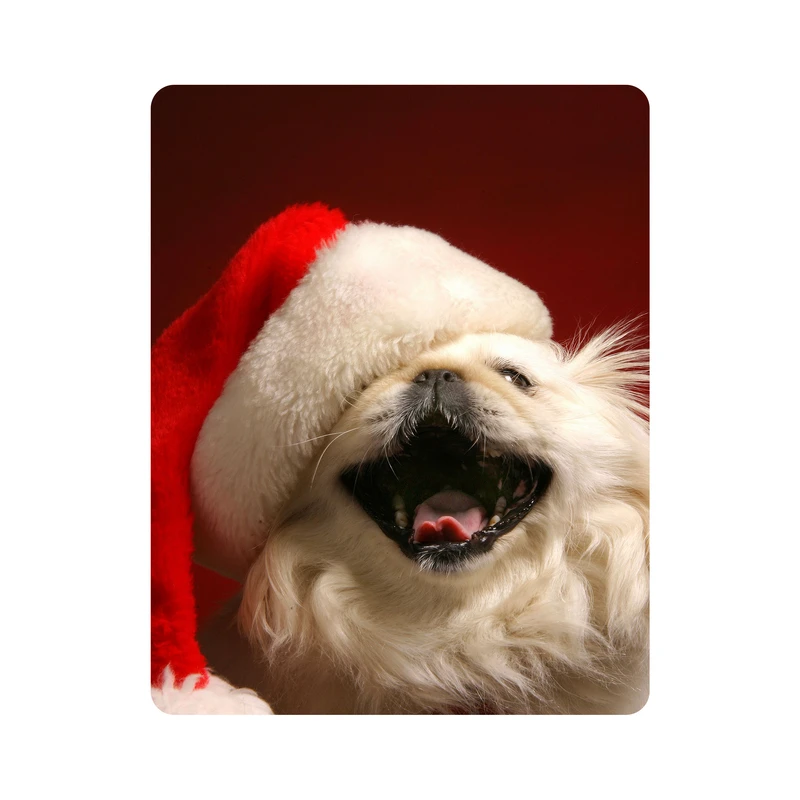 ماوس پد اطلس آبی طرح سگ و کلاه قرمز  مدل T5879