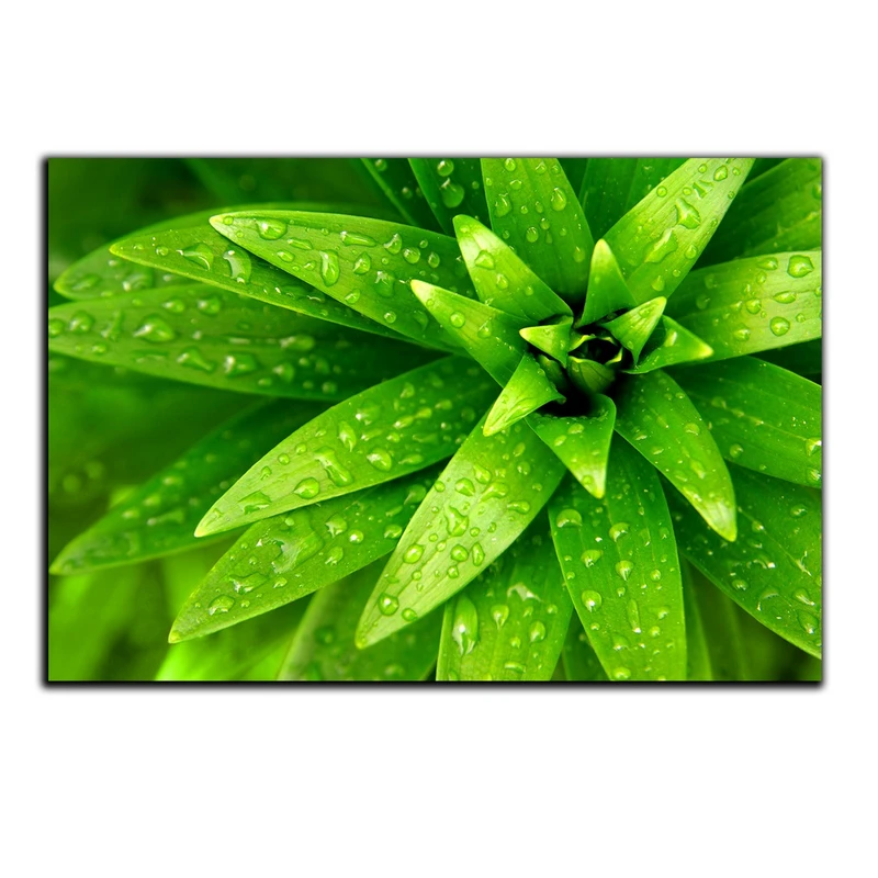 تابلو شاسی بکلیت طرح طبیعت قطره شبنم مدل SH-S1593