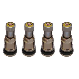 والف لاستیک خودرو مدل T61 بسته 4 عددی