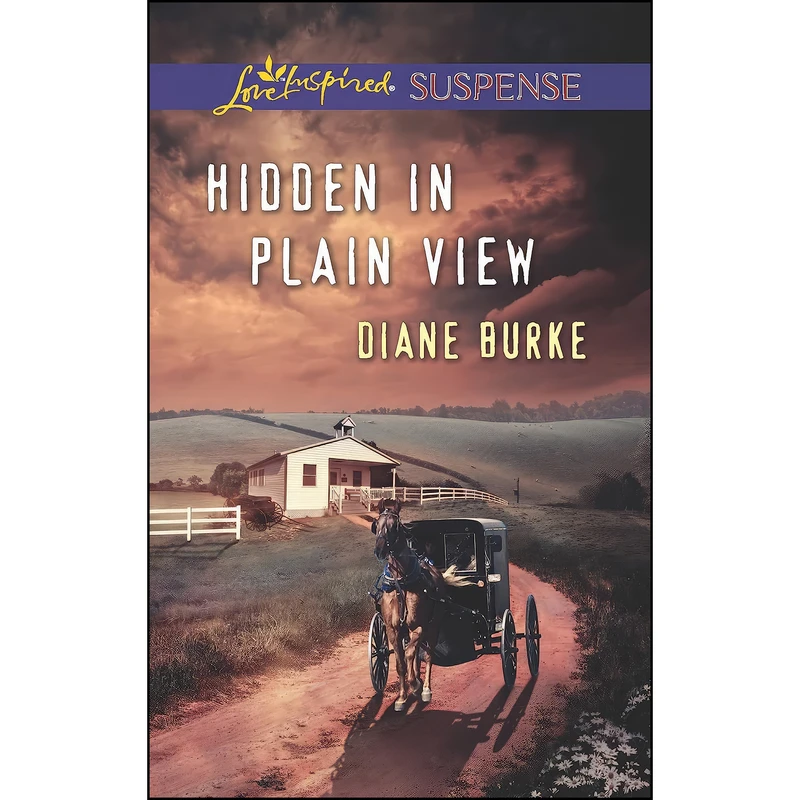 کتاب Hidden in Plain View  اثر Diane Burke انتشارات Love Inspired Suspense