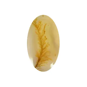 سنگ شجر پارلا گوهر کد 5151