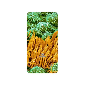 MAHOOT Atom Universe 6 Cover Sticker for Xiaomi Mi Note 2