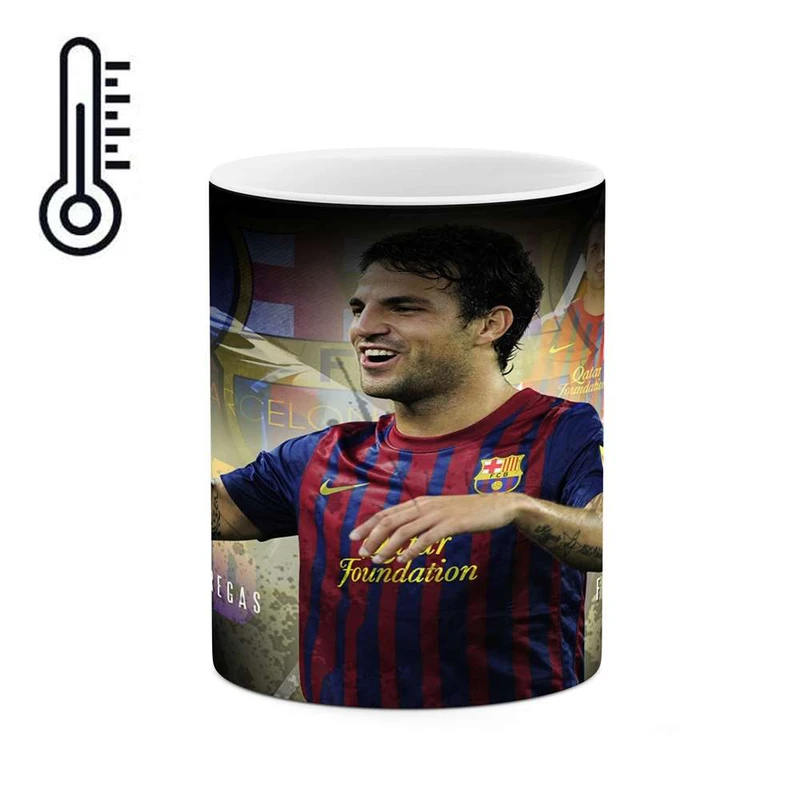 ماگ حرارتی کاکتی مدل فابرگاس کد  mgh12309