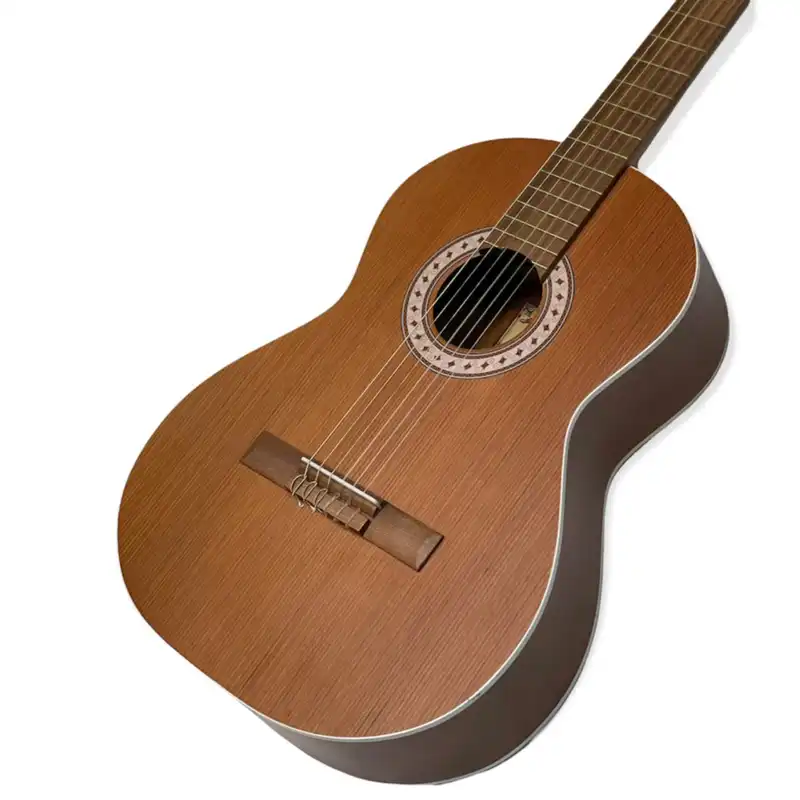 گیتار پارسی مدل P40