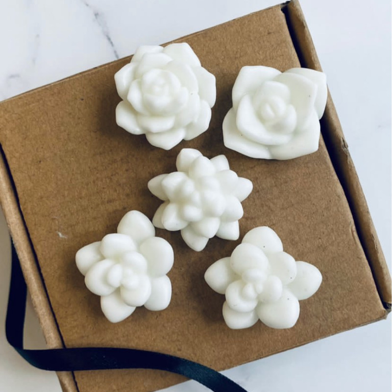 قالب شمع مدل کاکتوس مینیاتوری 5 تایی