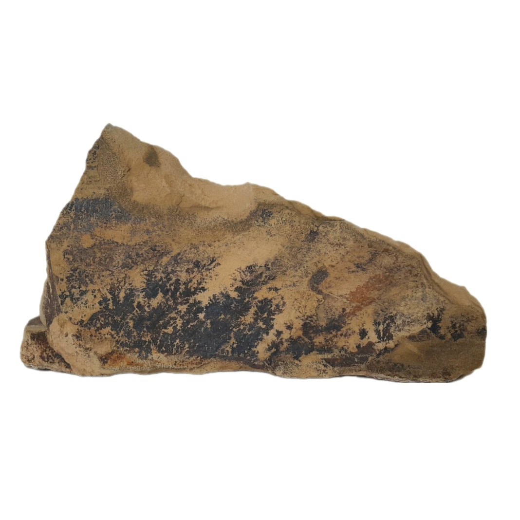 سنگ راف مدل شجر فسیلی کد 130
