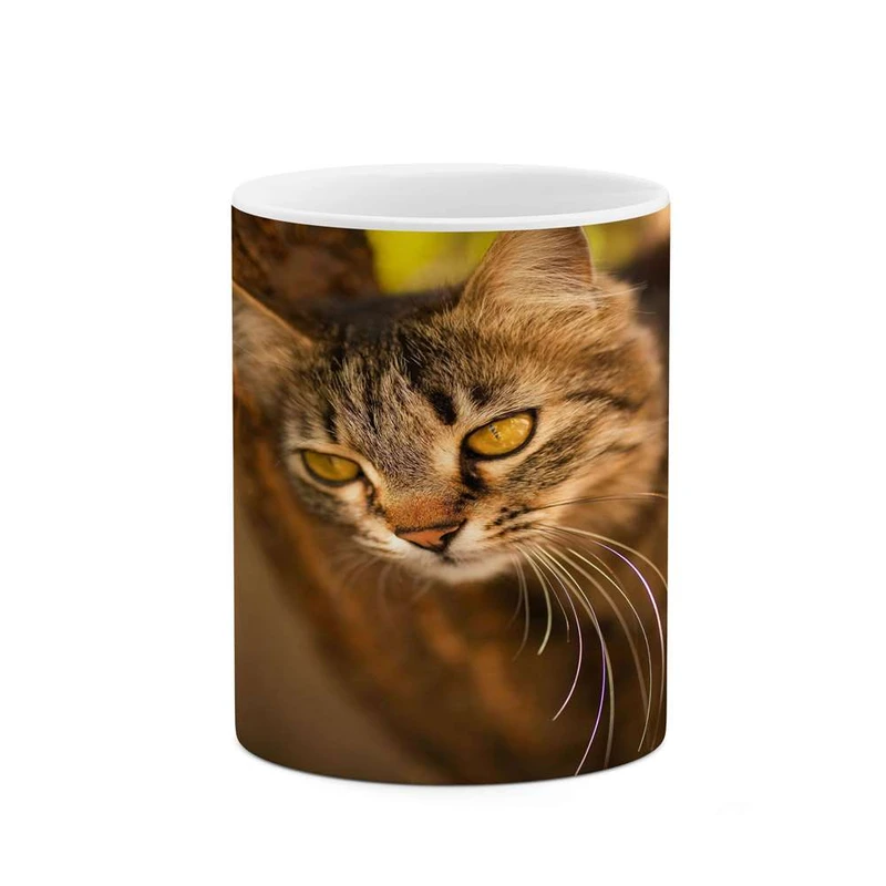 ماگ کاکتی مدل گربه کد mgh14820