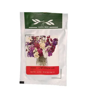 بذر گل شب بو پابلند الوان وانیا سید مدل 0154