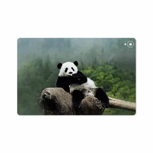 MAHOOT Panda Cover Sticker for Huawei Mediapad M6 10.8 2019