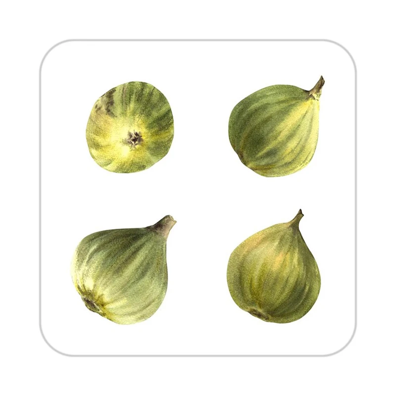 زیر لیوانی کاکتی طرح میوه مدل mp21951