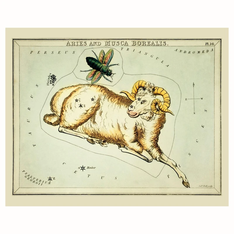 پوستر مدل صورت فلکی زودیاک برج حمل 