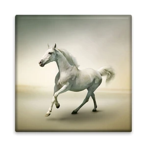 کاشی مدل M1139 طرح اسب