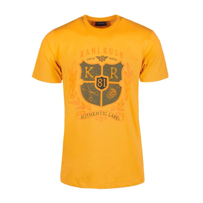 تی‌شرت آستین کوتاه مردانه مدل SB-SS-2108