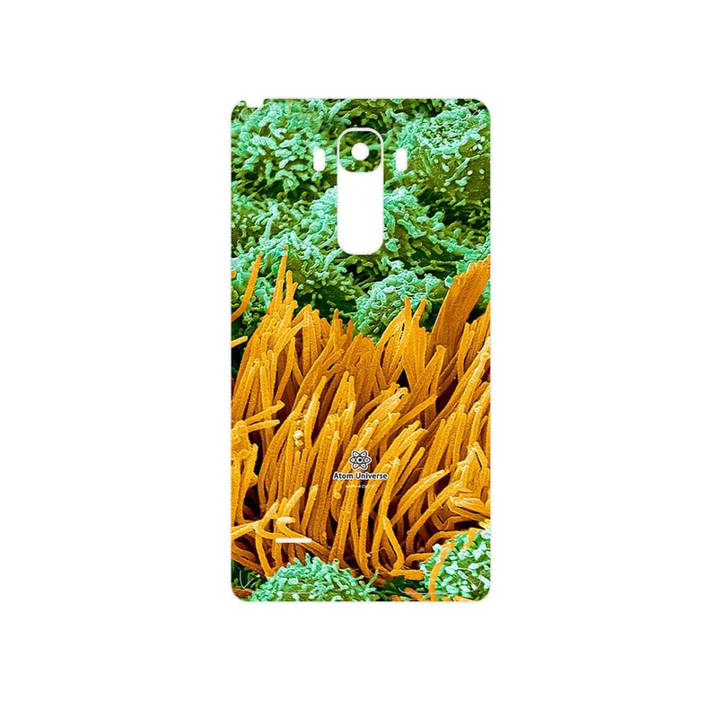 برچسب پوششی ماهوت مدل Atom Universe 6 مناسب برای گوشی موبایل ال جی G4 Stylus