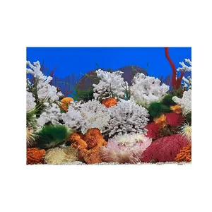 پوستر طرح آکواریوم مدل A012