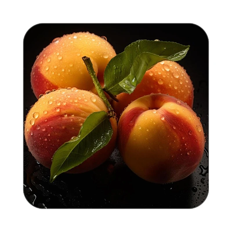 زیر لیوانی کاکتی طرح میوه مدل mp21722