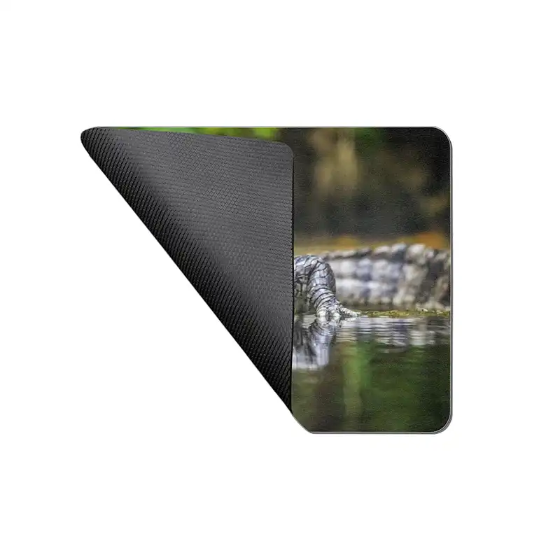 ماوس پد طرح تمساح کد 3650