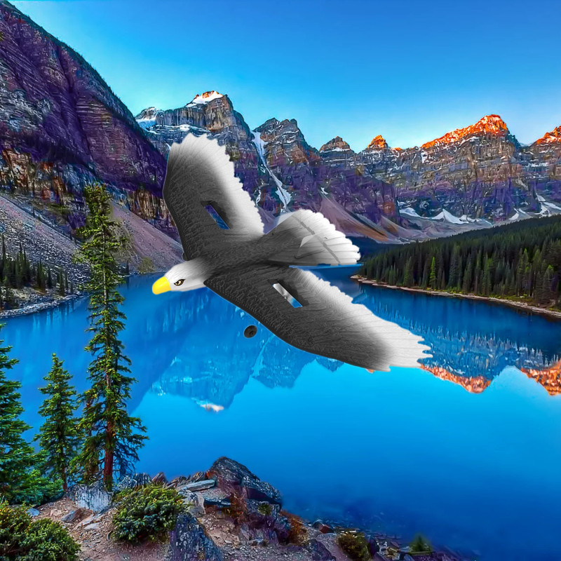 هواپیما بازی کنترلی مدل Airplane eagle