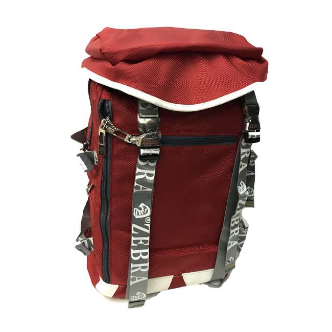 کوله پشتی مدل ZEBRA