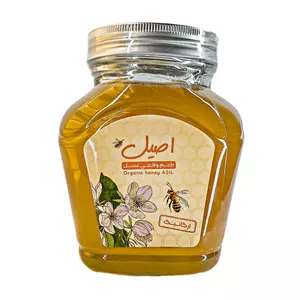 عسل طبیعی اصیل - 500 گرم