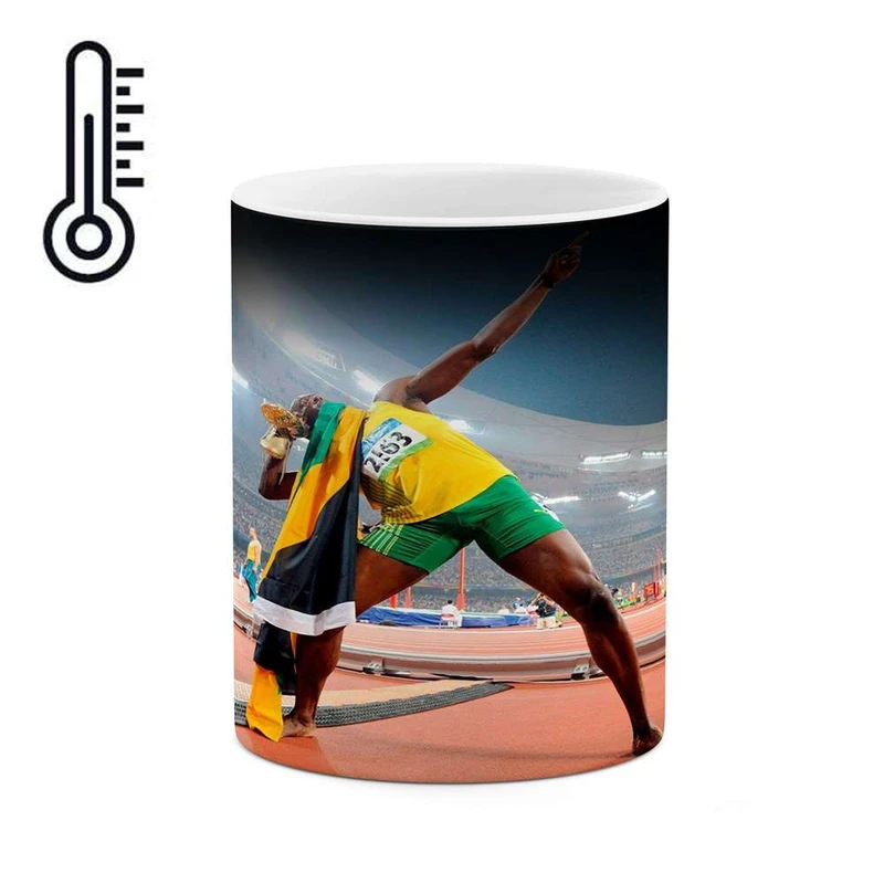 ماگ حرارتی کاکتی مدل دومیدانی کد mgh11900