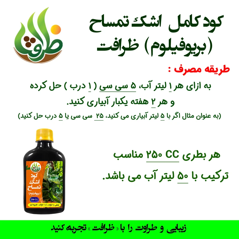 عکس شماره 3