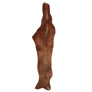 چرم طبیعی مدل ساق شتر مرغ کد OL051