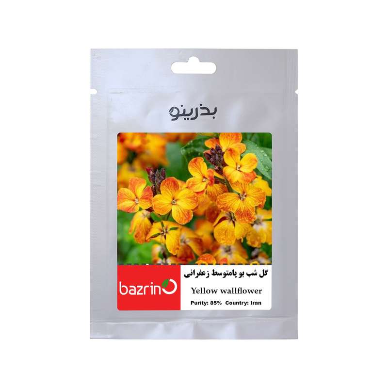 بذر گل شب بو پامتوسط زعفرانی بذرینو کد B-046