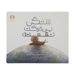 کتاب سنگی بی حرکت نشسته اثر برندن ونزل نشر میکان 