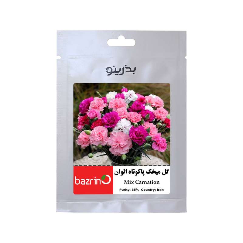 بذر گل میخک پاکوتاه الوان بذرینو کد BZNO-062
