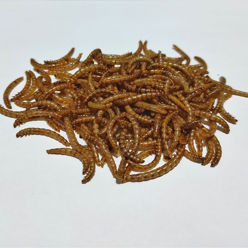 غذای خشک پرندگان مدل میلورم کد 01 وزن 100 گرم