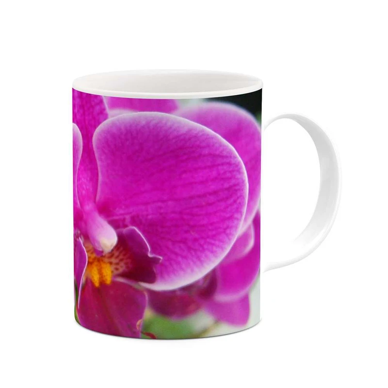 ماگ کاکتی مدل گل ارکیده کد mgh12061