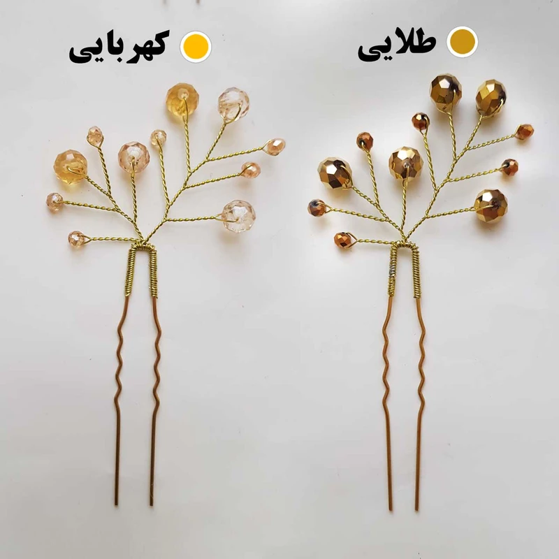 عکس شماره 4