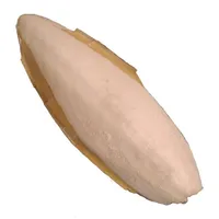 کف دریا مدل as22 وزن 100 گرم